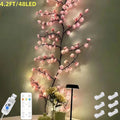 3bdb5c80e041725e05fb158a5f1f68f
